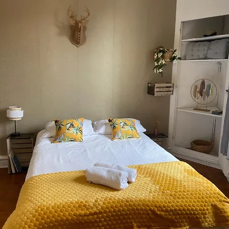 Apartment Le Botanica Bel Situe A 5 Min De La Gare D'angers Angers
