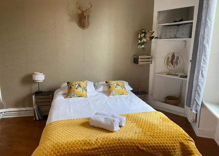 Apartment Le Botanica Bel Situe A 5 Min De La Gare D'angers Angers